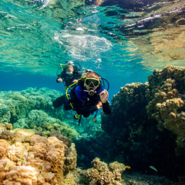 24.09.2021 – Nurkowe Wakacje Safaga – Dzień piąty – podwodny ogród korali