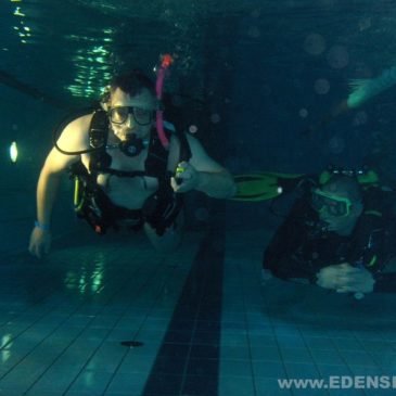 18.05.2011 – Pokazy nurkowania na basenie AQUA w Bielsku-Białej