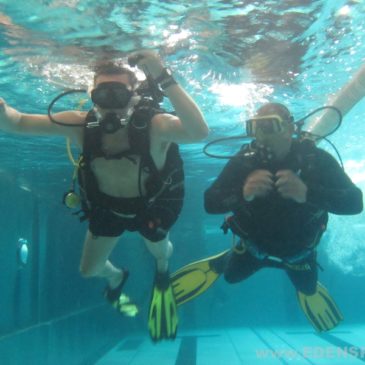 1.06.2011 – Zanurkuj z nami na pokazach. Zapraszamy na nurkowanie na basenie AQUA w Bielsku-Białej