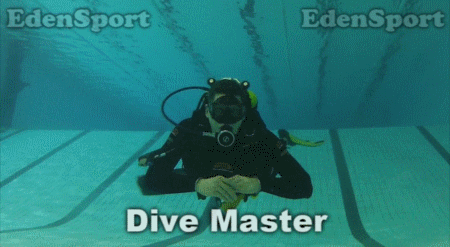 Dive Master