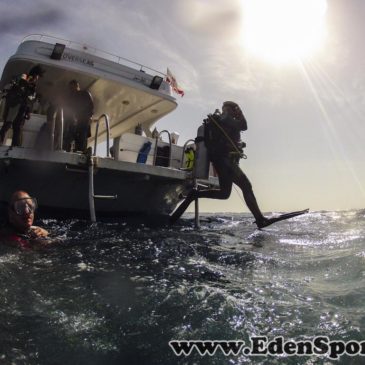 16.12.2013 – Rozpoczęcie kursu nurkowania OWD PADI