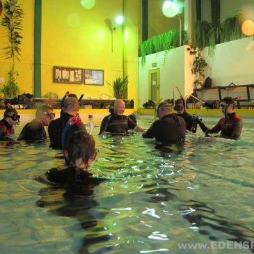 28.02.2012 – Warsztaty nurkowe na basenie