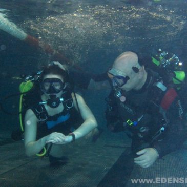 13.04.2012 – Darmowe pokazy nurkowania basen AQUA