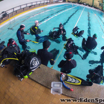 9.05.2015 – Zajęcia basenowe kursu OWD PADI