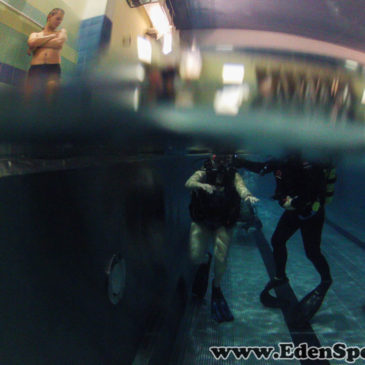 8.12.2014 – Pokazy nurkowania na basenie AQUA