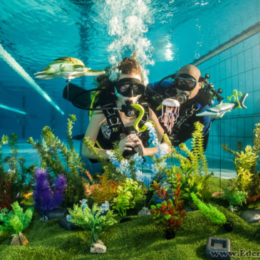 12.10.2018 – Sztuczna rafa koralowa w Goczałkowicach – Pokazy nurkowania