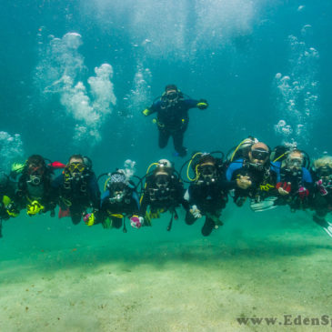 27.08.2019 – Rozpocznij szkolenie wprowadzające w podwodny świat – Podstawowy kurs nurkowania OWD