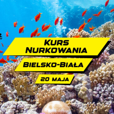 20.05.2025 – Kurs Nurkowania w Bielsku-Białej! Piękny podwodny świat czeka aż go odkryjesz!