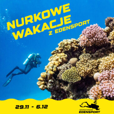 Listopadowy wylot do słońca i ciepłej wody! Nurkowe Wakacje!