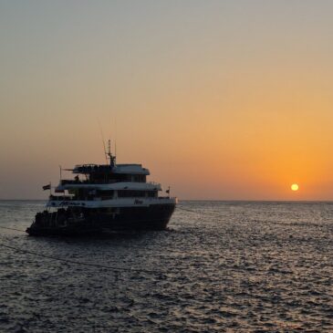 🌴 Safari nurkowe HERO – Ras Muhammad, Tiran i Wraki Północy – Czerwiec 2026