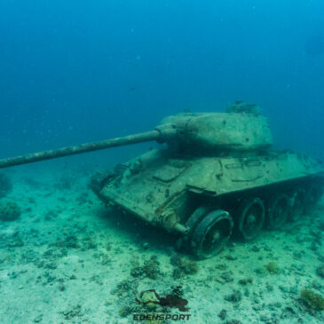 Nurkowe Wakacje Sierpień 2025 – Galeria pierwsza