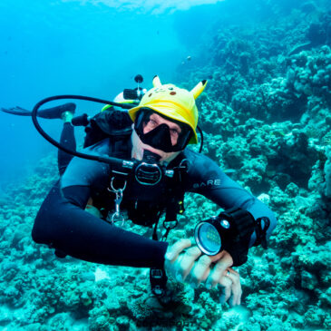 Nurkowe Wakacje Sierpień 2025 – Galeria druga