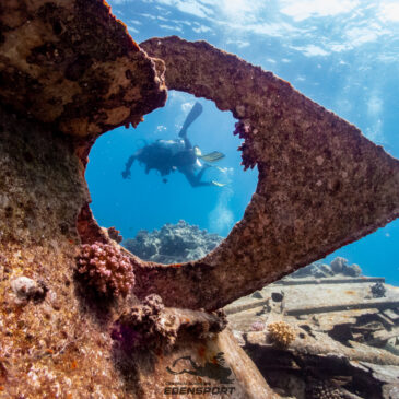 Nurkowe Wakacje Sierpień 2025 – Galeria trzecia