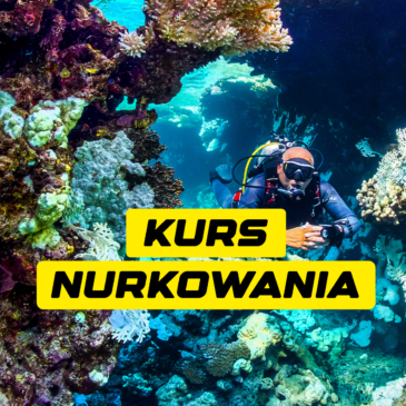 24.11.2025 – Kurs Nurkowania – Pierwszy Stopień