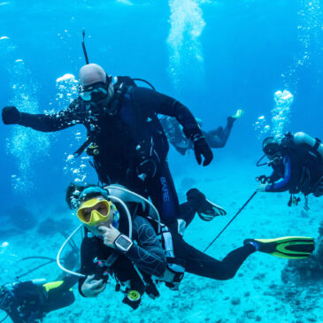 Nurkowe Wakacje Safaga- Część Pierwsza fotorelacji z wyjazdu